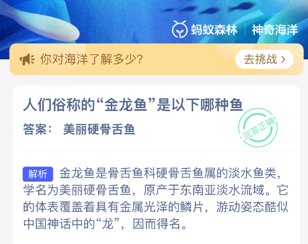 人们俗称的金龙鱼是以下哪种鱼