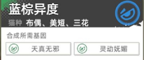 猫之城主题猫怎么获得稀有猫咪获取攻略