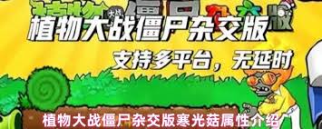 植物大战僵尸杂交版寒光菇厉害吗