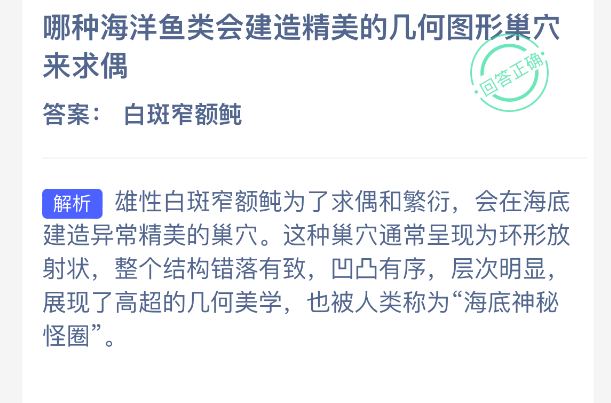 哪种海洋鱼类会建造精美的几何图形巢穴来求偶