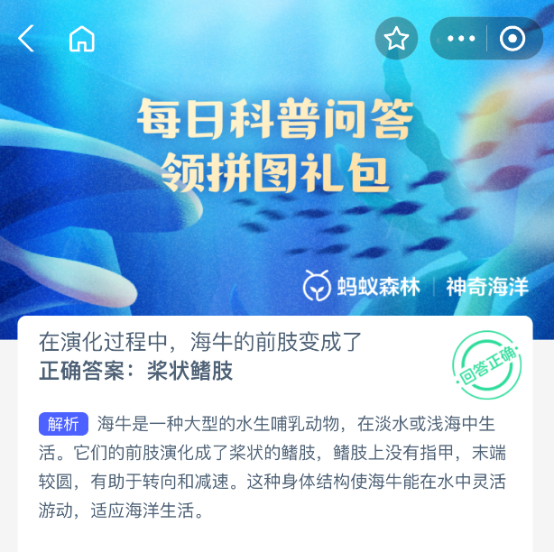 在演化过程中，海牛的前肢变成了什么