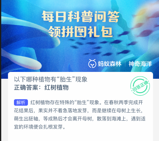 以下哪种植物有胎生现象
