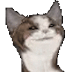 popcat啵嘴猫表情包大全