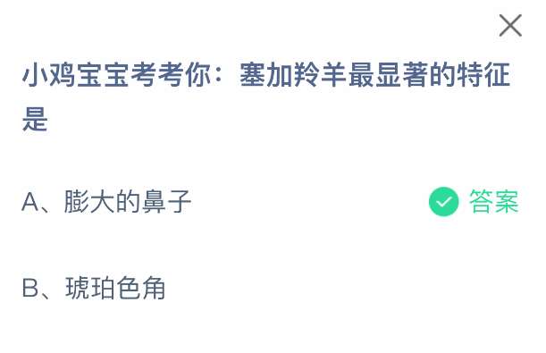 小鸡宝宝考考你：塞加羚羊最显著的特征是什么