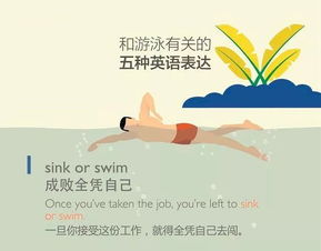 游泳的英文表达是什么
