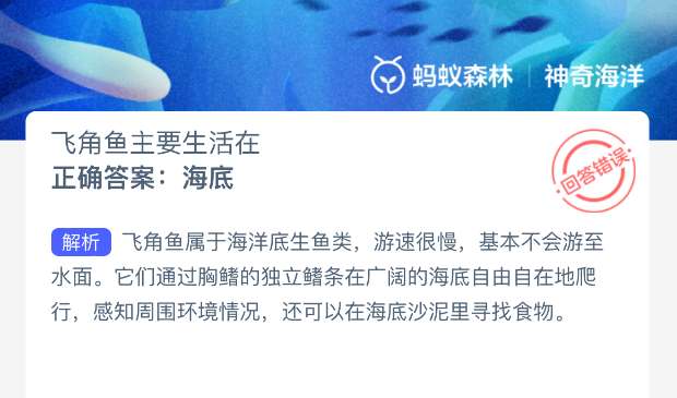 飞角鱼主要生活在哪里