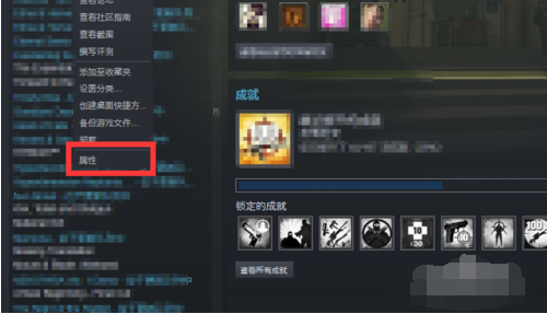 csgo国际服启动项-csgo国际服启动代码