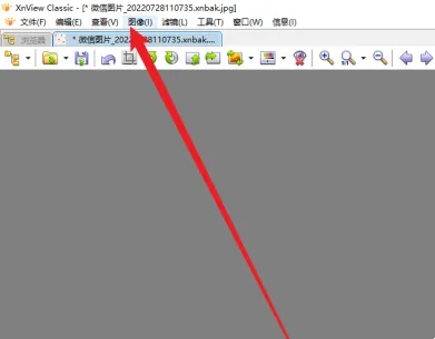 XnViewz怎么用-如何在XnView中启用自动修剪功能