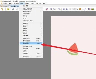 XnViewz怎么用-如何在XnView中启用自动修剪功能