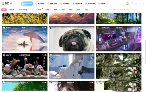 小鸟壁纸如何使用小鸟壁纸怎么使用动态