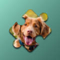 寵物狗狗的拼圖挑戰(zhàn)Dogs Mania Jigsaw Puzzles