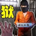 獄長模擬器安卓版