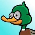 猎鸭狂潮Duck Hunt Frenzy