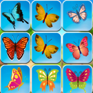 配对拼图(Onet Connect Matching Puzzle)