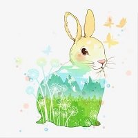 小兔子安卓版