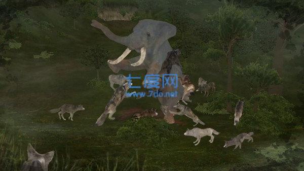 野生动物丛林法则完整版