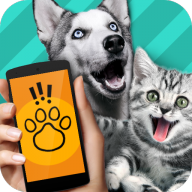 pettranslator动物语言翻译器图标