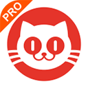 猫眼专业版实时票房榜