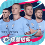 绿茵信仰小米渠道服图标