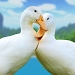 虚拟鸭宠物鸟VirtualduckPetbird games