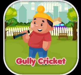 街頭板球冒險gully cricket圖標(biāo)