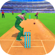 真正的板球挑战赛Real Cricket Challenge Game