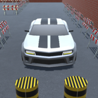 驾驶(MasterDriver Car Driving Track)